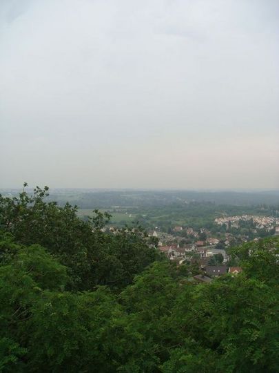 DSC06868.jpg
